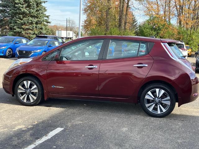 2017 Nissan LEAF Vehicle Photo in Canton, MI 48188