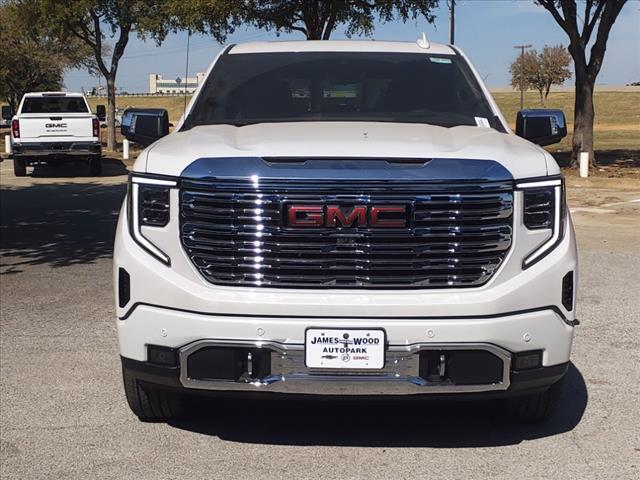 2025 GMC Sierra 1500 Vehicle Photo in Denton, TX 76205