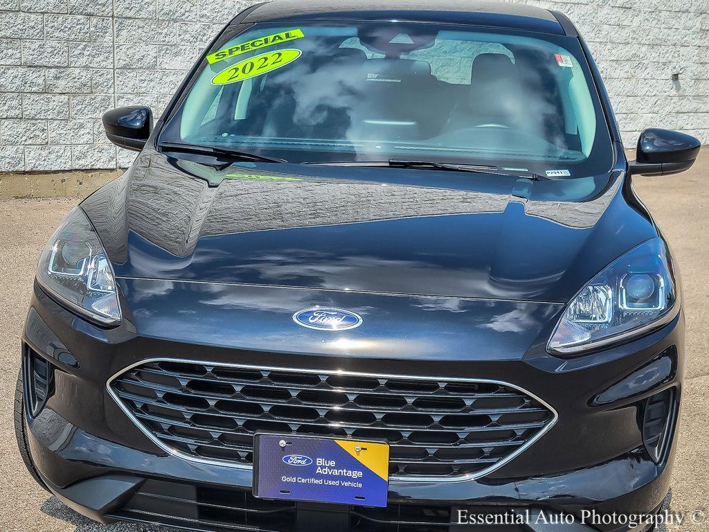 2022 Ford Escape Vehicle Photo in Plainfield, IL 60586