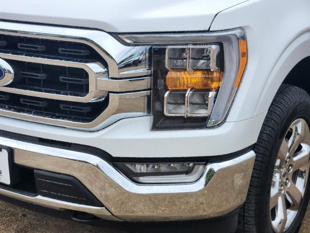 2023 Ford F-150 Vehicle Photo in Ennis, TX 75119-5114