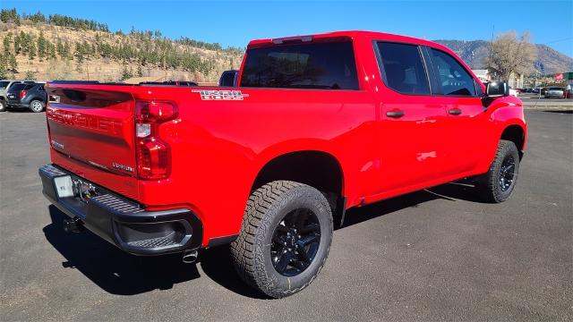 2025 Chevrolet Silverado 1500 Vehicle Photo in FLAGSTAFF, AZ 86001-6214