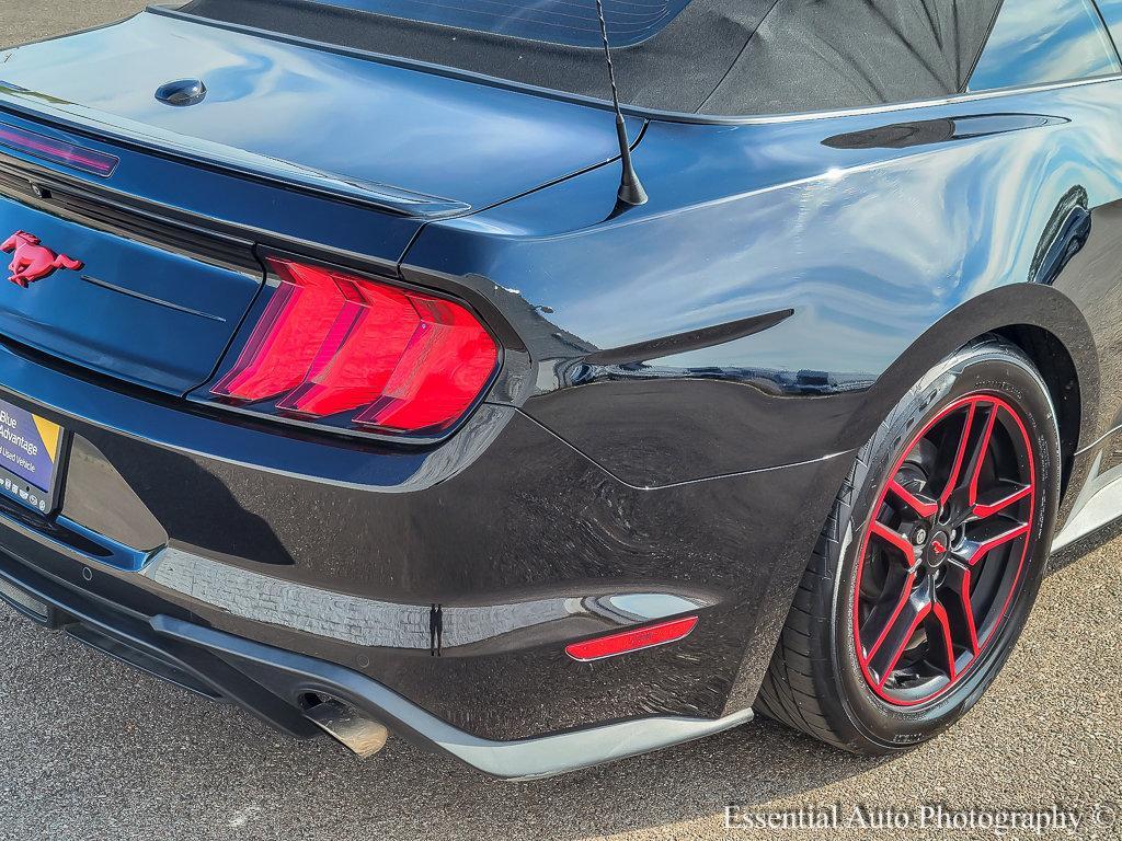 2019 Ford Mustang Vehicle Photo in Saint Charles, IL 60174