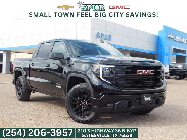 2025 GMC Sierra 1500 Vehicle Photo in GATESVILLE, TX 76528-2745