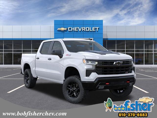 2024 Chevrolet Silverado 1500 Vehicle Photo in READING, PA 19605-1203