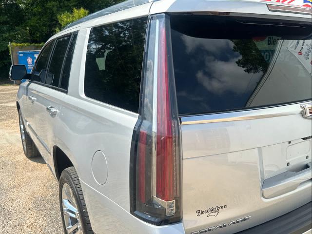 2019 Cadillac Escalade Vehicle Photo in DUNN, NC 28334-8900