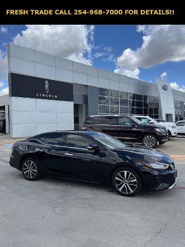 2023 Nissan Maxima Vehicle Photo in Stephenville, TX 76401-3713