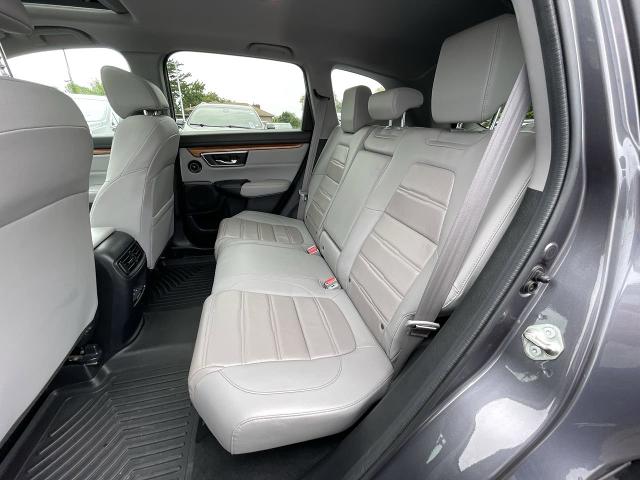 2019 Honda CR-V Vehicle Photo in WILLIAMSVILLE, NY 14221-4303