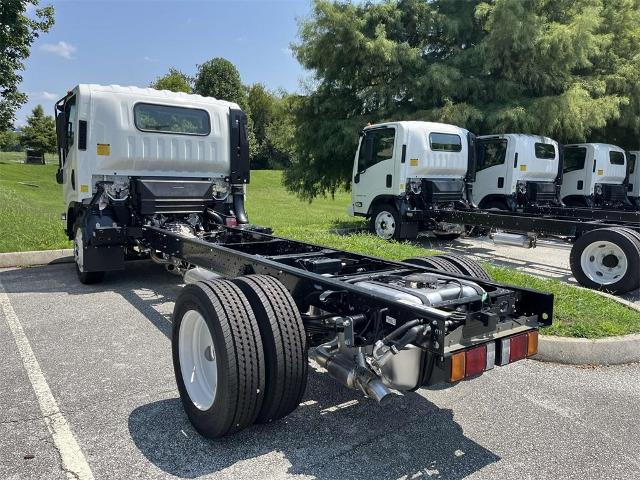 2025 Chevrolet Low Cab Forward 4500 Vehicle Photo in ALCOA, TN 37701-3235