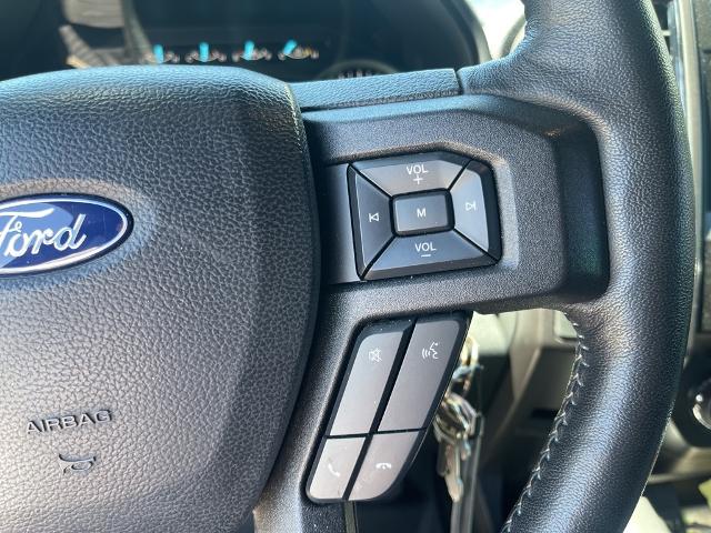 2020 Ford F-150 Vehicle Photo in San Antonio, TX 78230