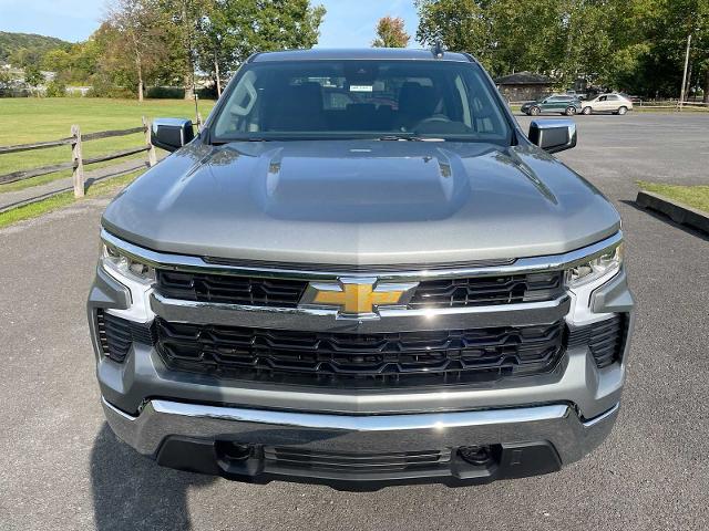 2025 Chevrolet Silverado 1500 Vehicle Photo in THOMPSONTOWN, PA 17094-9014