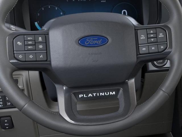 2024 Ford F-150 Vehicle Photo in Weatherford, TX 76087-8771