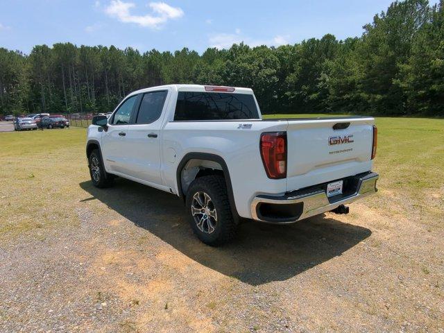 2024 GMC Sierra 1500 Vehicle Photo in ALBERTVILLE, AL 35950-0246