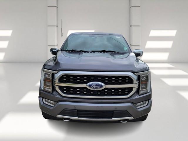 Used 2021 Ford F-150 Platinum with VIN 1FTFW1E56MFA40332 for sale in Slidell, LA