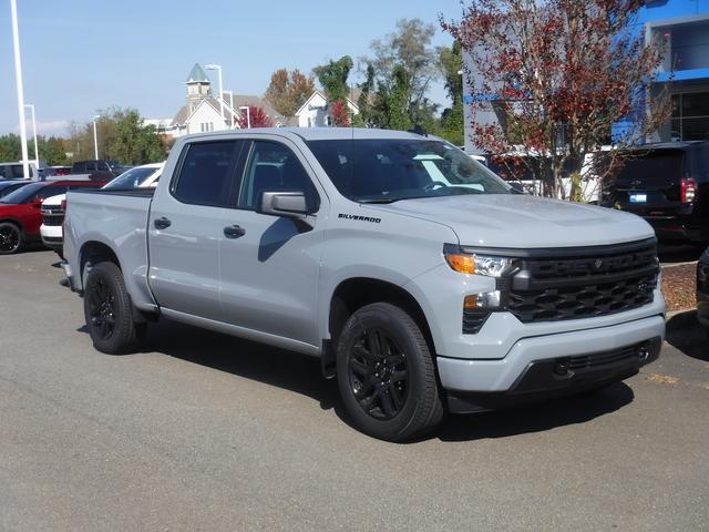 2024 Chevrolet Silverado 1500 Vehicle Photo in JASPER, GA 30143-8655