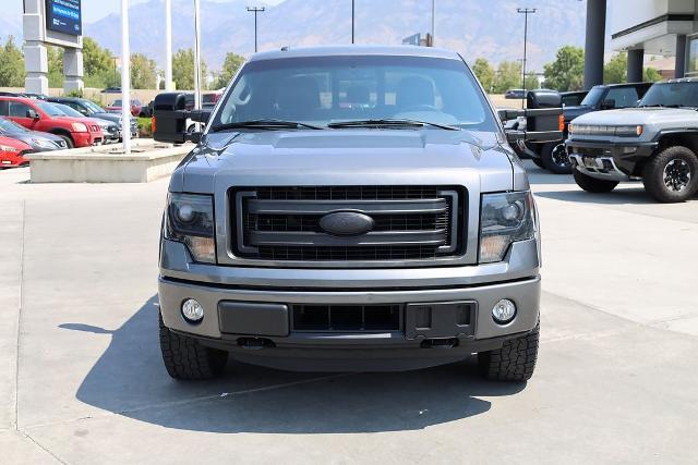 2014 Ford F-150 Vehicle Photo in AMERICAN FORK, UT 84003-3317