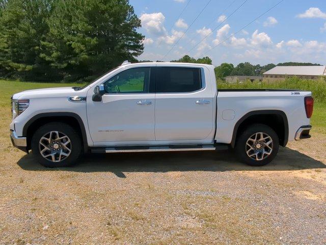 2024 GMC Sierra 1500 Vehicle Photo in ALBERTVILLE, AL 35950-0246