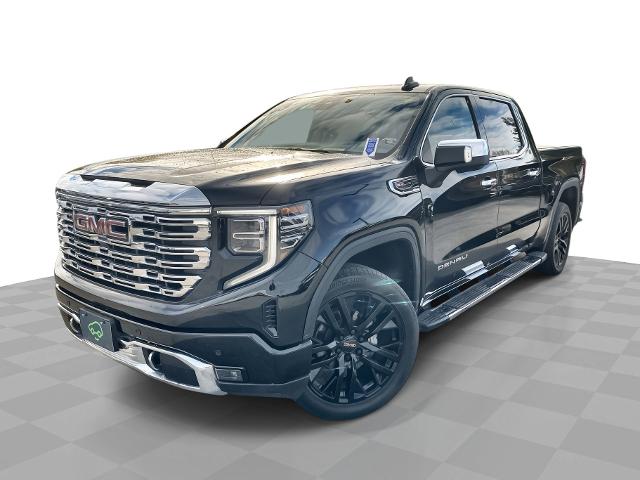 2022 GMC Sierra 1500 Vehicle Photo in WILLIAMSVILLE, NY 14221-2883