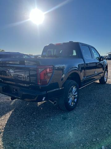 2024 Ford F-150 Vehicle Photo in STEPHENVILLE, TX 76401-3713