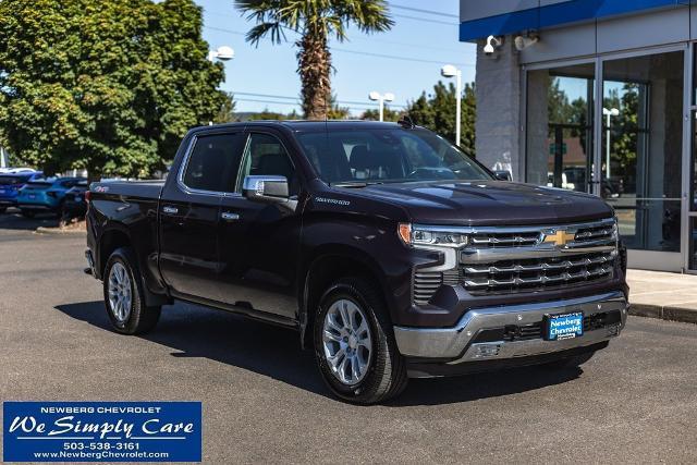 2023 Chevrolet Silverado 1500 Vehicle Photo in NEWBERG, OR 97132-1927