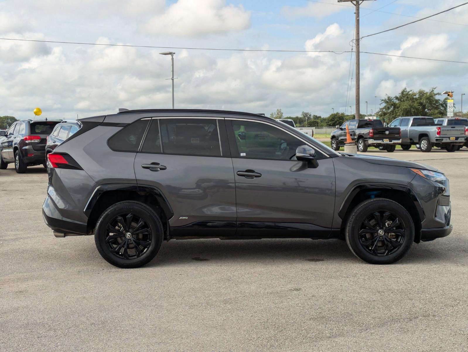 2022 Toyota RAV4 Vehicle Photo in Seguin, TX 78155