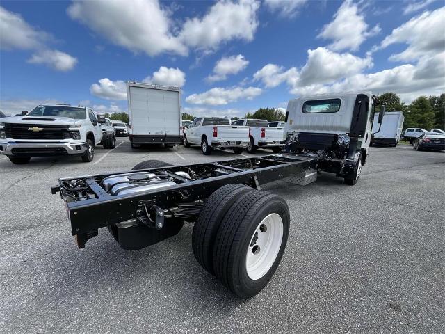 2024 Chevrolet Low Cab Forward 5500 HG Vehicle Photo in ALCOA, TN 37701-3235