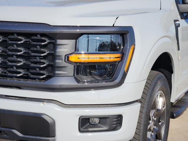 2024 Ford F-150 Vehicle Photo in Pilot Point, TX 76258-6053