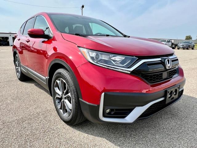 2022 Honda CR-V Vehicle Photo in EFFINGHAM, IL 62401-2832