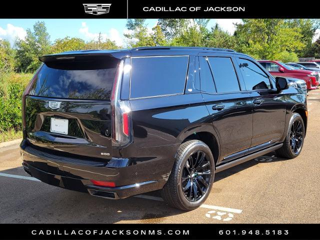 2023 Cadillac Escalade Vehicle Photo in RIDGELAND, MS 39157-4406