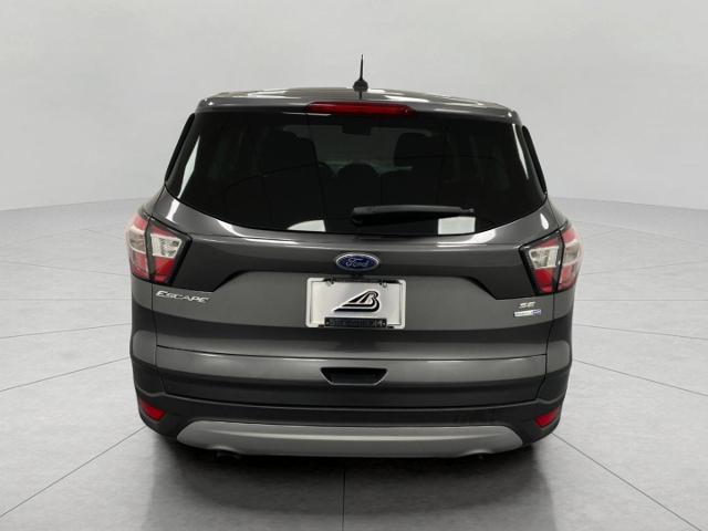 2017 Ford Escape Vehicle Photo in Appleton, WI 54913