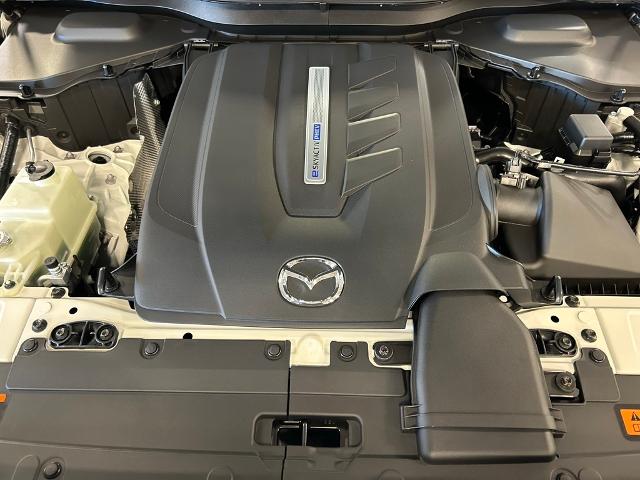 2025 Mazda CX-90 PHEV Vehicle Photo in Danville, KY 40422