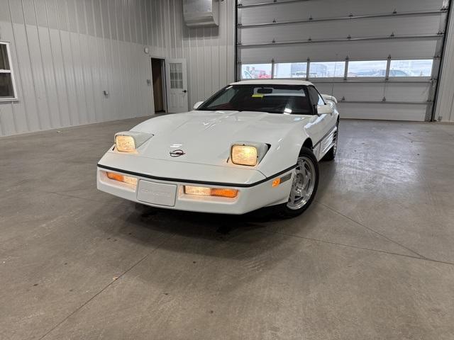 1990 Chevrolet Corvette Vehicle Photo in GLENWOOD, MN 56334-1123