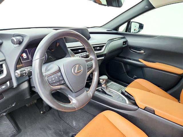 2019 Lexus UX 200 Vehicle Photo in Grapevine, TX 76051