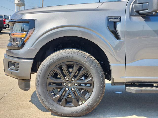 2024 Ford F-150 Vehicle Photo in Pilot Point, TX 76258-6053