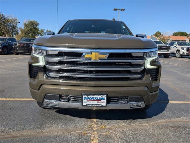 2023 Chevrolet Silverado 1500 Vehicle Photo in AURORA, CO 80012-4011