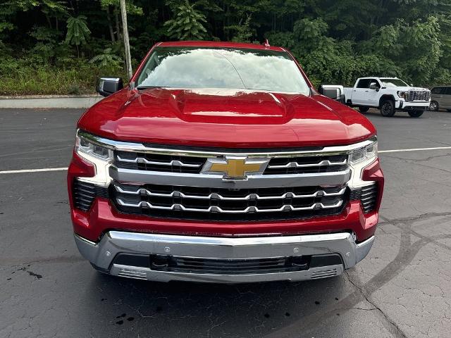 2024 Chevrolet Silverado 1500 Vehicle Photo in MARION, NC 28752-6372