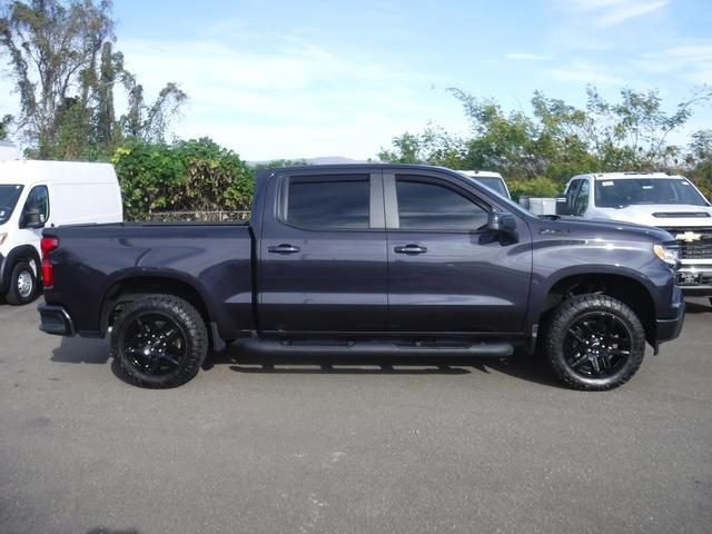 2023 Chevrolet Silverado 1500 Vehicle Photo in JASPER, GA 30143-8655