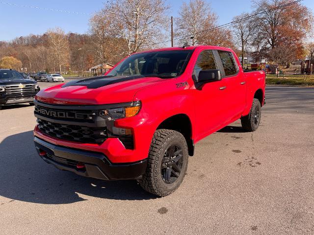 2024 Chevrolet Silverado 1500 Vehicle Photo in THOMPSONTOWN, PA 17094-9014