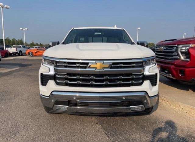 2025 Chevrolet Silverado 1500 Vehicle Photo in GLENWOOD, MN 56334-1123