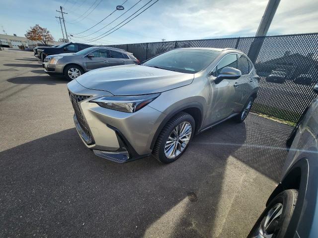 2022 Lexus NX Vehicle Photo in MADISON, WI 53713-3220