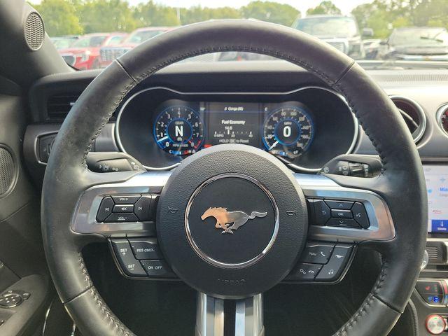 2022 Ford Mustang Vehicle Photo in DANBURY, CT 06810-5034