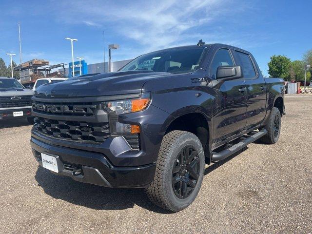 2024 Chevrolet Silverado 1500 Vehicle Photo in SAUK CITY, WI 53583-1301