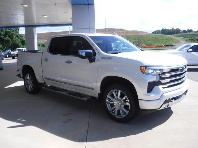 2024 Chevrolet Silverado 1500 Vehicle Photo in JASPER, GA 30143-8655