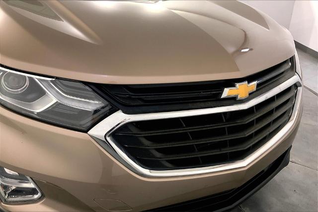 2019 Chevrolet Equinox Vehicle Photo in Lees Summit, MO 64086