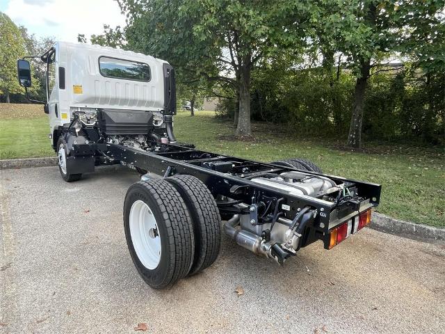 2025 Chevrolet Low Cab Forward 4500 Vehicle Photo in ALCOA, TN 37701-3235