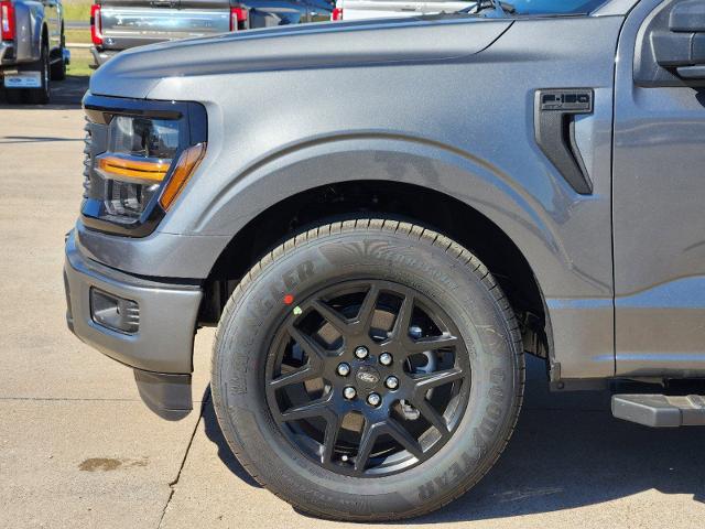 2024 Ford F-150 Vehicle Photo in Pilot Point, TX 76258