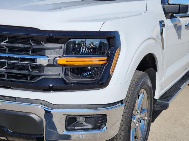 2024 Ford F-150 Vehicle Photo in Pilot Point, TX 76258