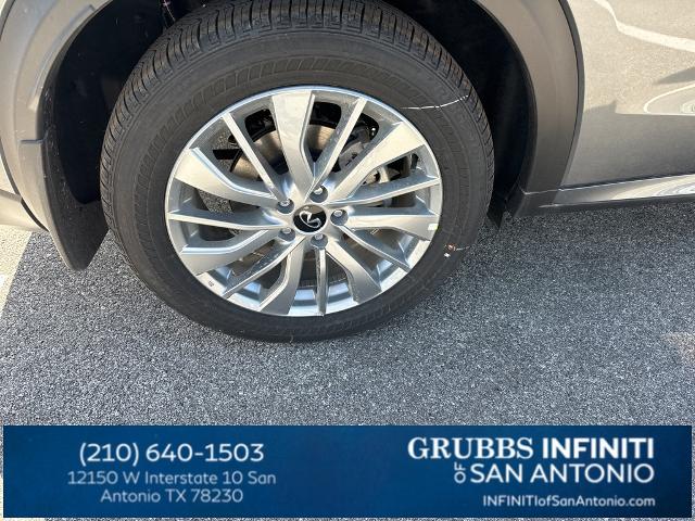 2024 INFINITI QX50 Vehicle Photo in San Antonio, TX 78230