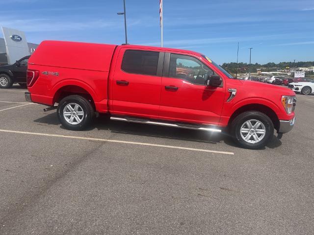 2021 Ford F-150 Vehicle Photo in Jackson, OH 45640-9766