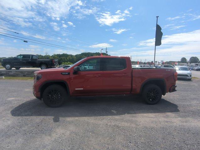 2024 GMC Sierra 1500 Vehicle Photo in ALBERTVILLE, AL 35950-0246