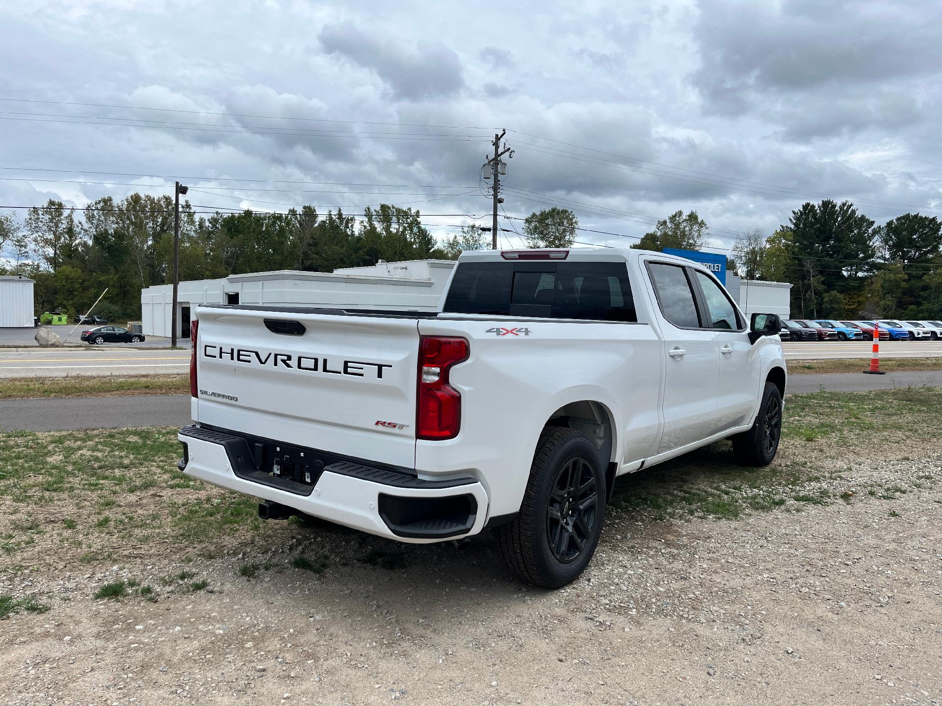 2025 Chevrolet Silverado 1500 Vehicle Photo in CLARE, MI 48617-9414